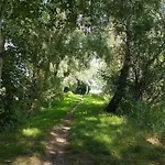 Bernsteinsucher Staedtische Bestlage * Ribnitz-Damgarten
