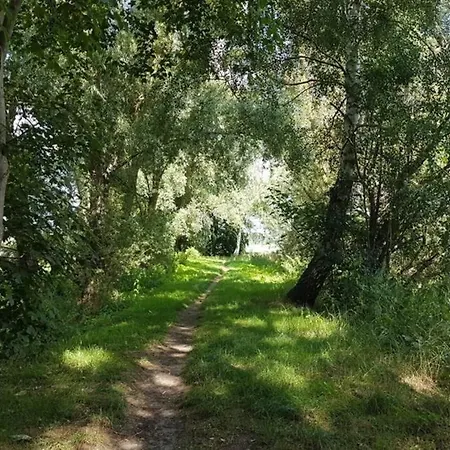 Bernsteinsucher Staedtische Bestlage * Ribnitz-Damgarten