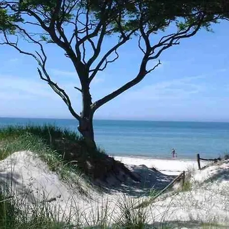 Lejlighed Bernsteinsucher Staedtische Bestlage